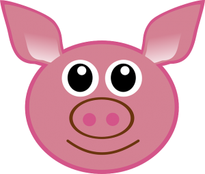 pig-304317_640